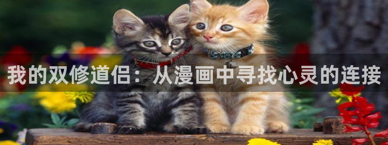 汗汗漫画.