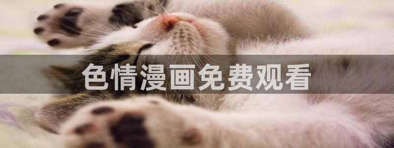 汗汗漫画官网入口