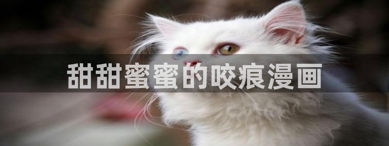 汗汗漫画渗透测试