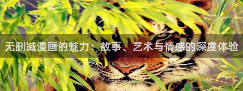 汗汗漫画页面入口