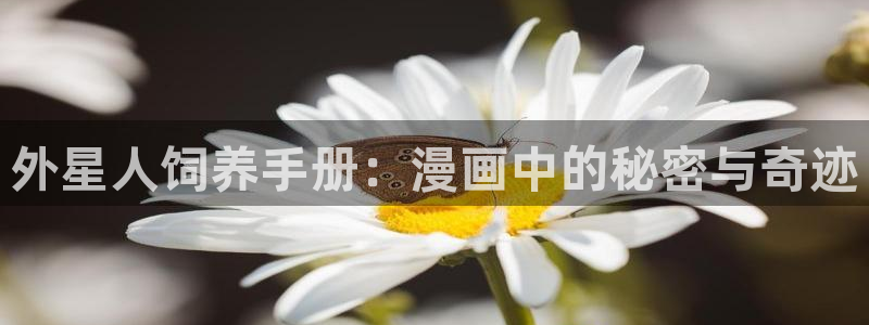汗汗漫画在线首页