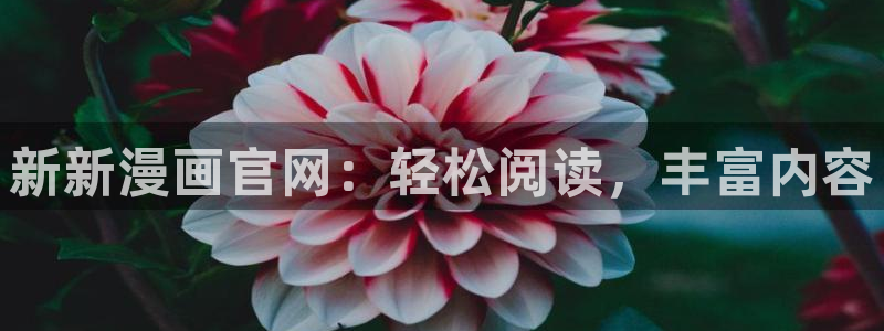 羞羞漫画~汗汗漫画av在线观看